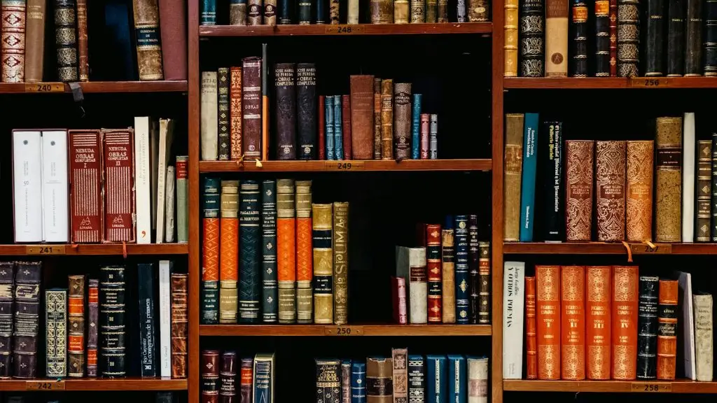Shelves full of books in a library, a picture of the knowledge an AI model should draw on